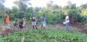 Family farming, lifestyle and health in the Pacific (FALAH)